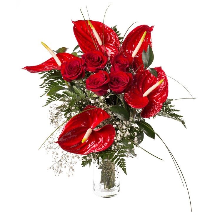 red roses and red anthurium (Standard)