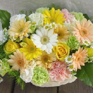 Flower Baskets-288