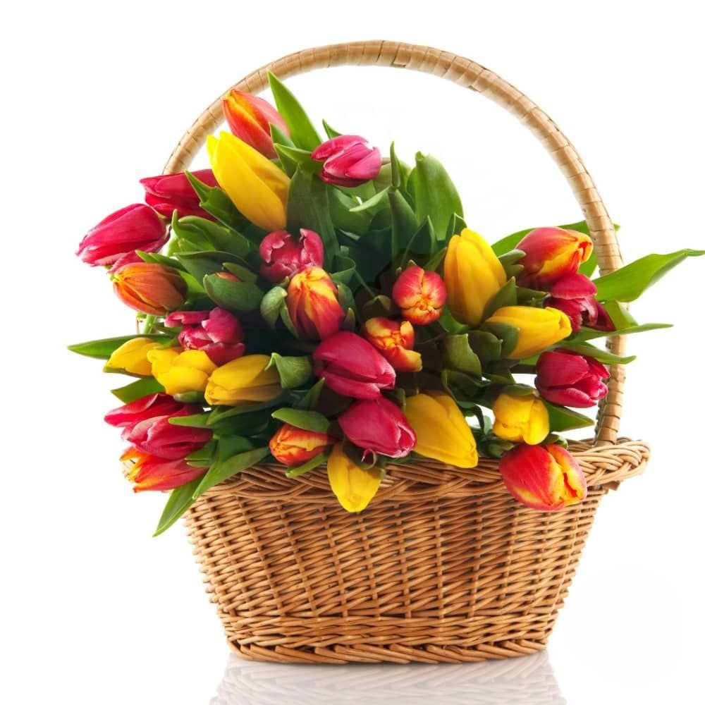 Basket of yellow and red tulips (Refined)