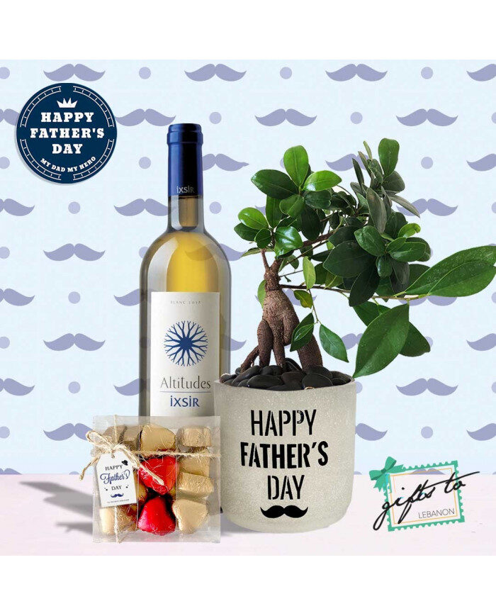 Father's Day Bonsai Set