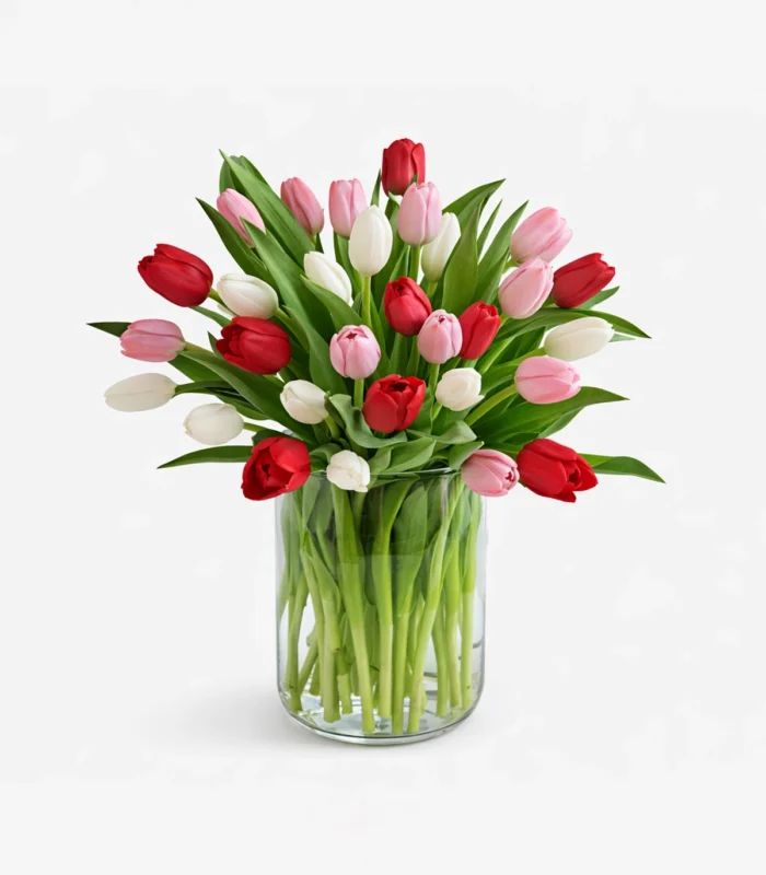 Spring Harmony Tulips in Vase – Select Size (20 tulips)