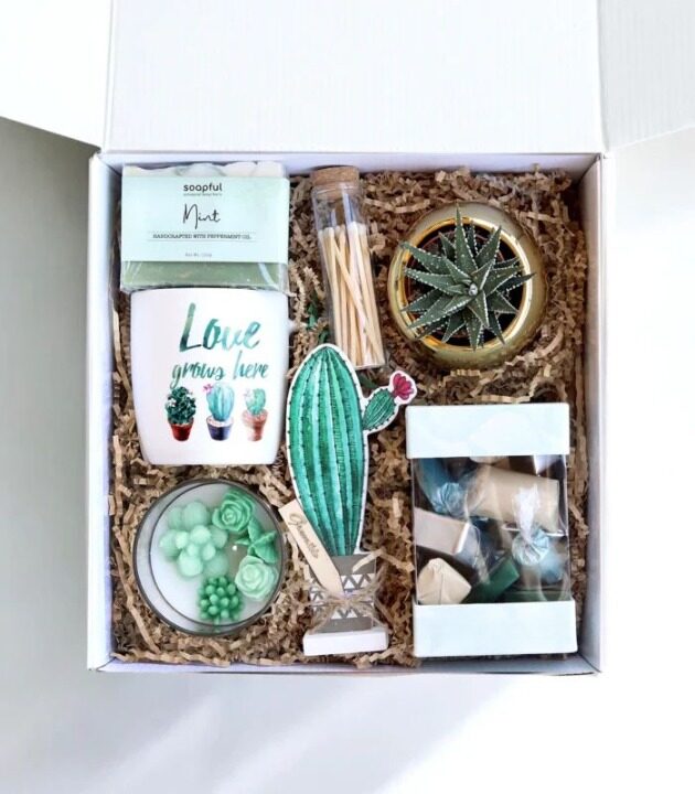 Love Grows Here Succulent and Assorted Chocolates Gift Box