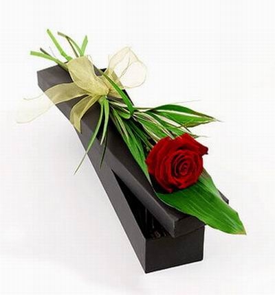 Single Gift Rose (Single Gift Rose)