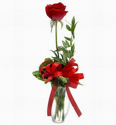 Single Vased Rose (Single Vased Rose)