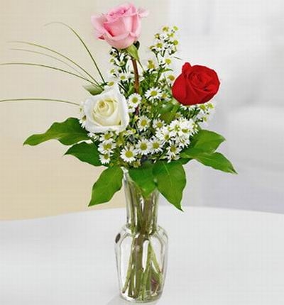 Assorted Triplets (Triplet Roses)