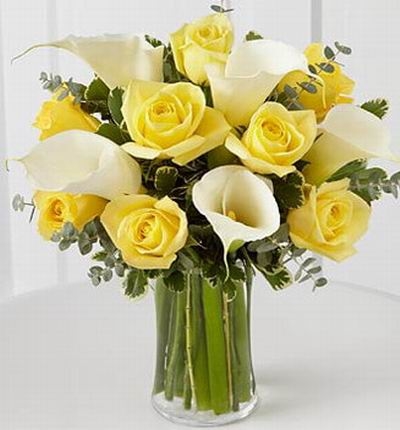 Calla Yellow Standard (Calla Yellow Standard)