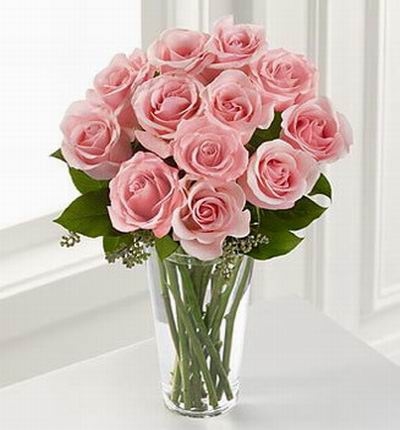 12 Pinks (12 Pinks)