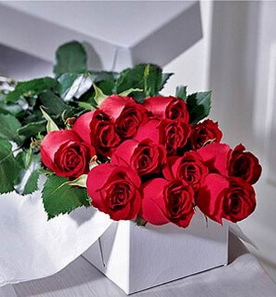 Boxed Long Stem Roses (Boxed Long Stem Roses)