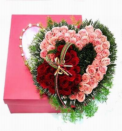 Double Hearts (Double Hearts)