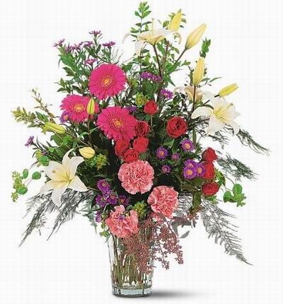 Floral Jungle Mix