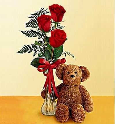 Teddy's three