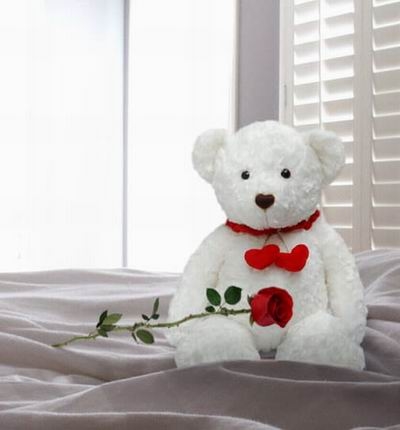 Lonely Bear (Lonely Bear)