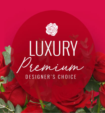 Designer's Premium Choice