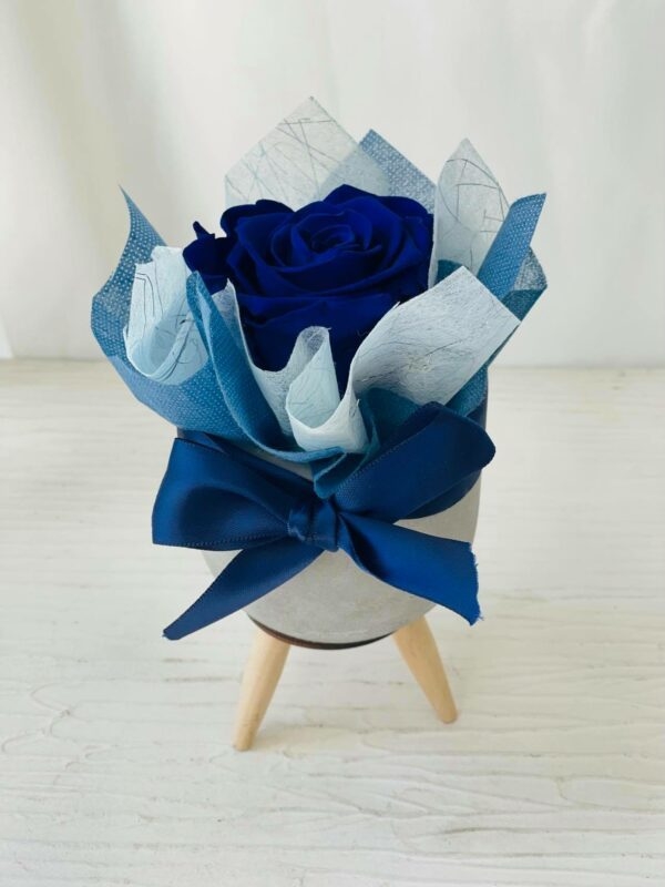 Single Elegant Forever Blue