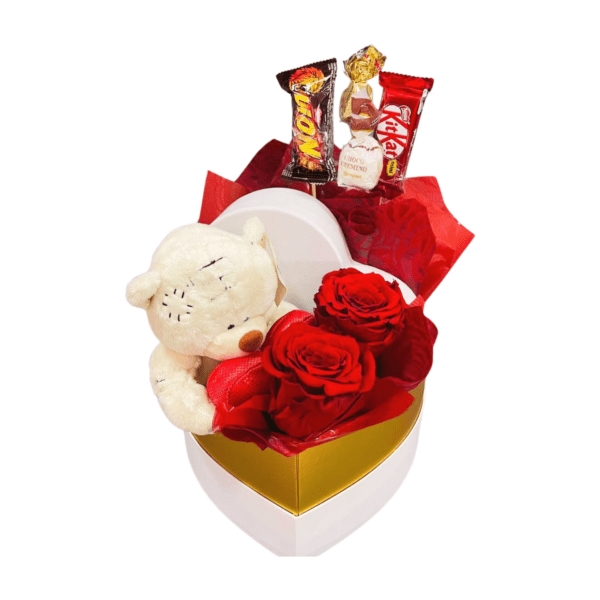 Teddy & Forever in a Box