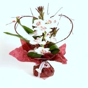 Love Bouquet