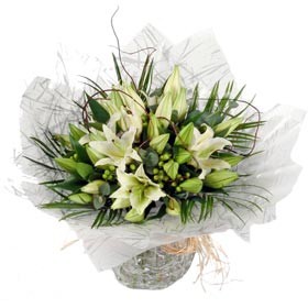 Lily Classic Handtied (Medium)