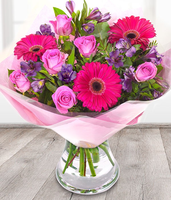 Pink Lady (Medium)