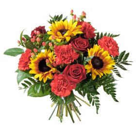 Birthday: Aries (Standard)