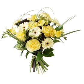 Birthday: Gemini (Standard)
