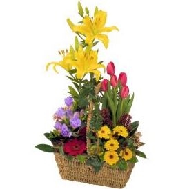 Summer Basket (Standard)