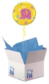 I am 5 Balloon in a Box (Standard)