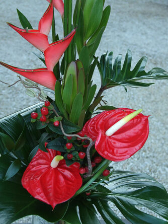 Exotic Love! (Small)