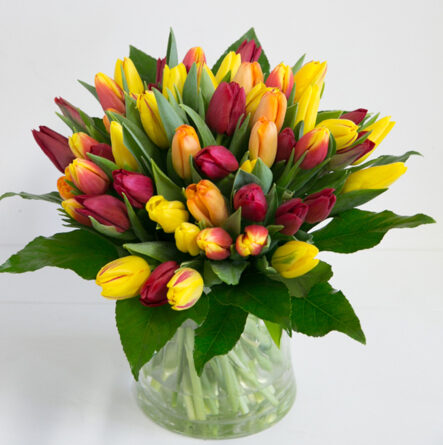 50 shades of sunshine - bouquet of tulips XL
