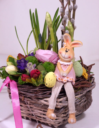 Hello Bunny!