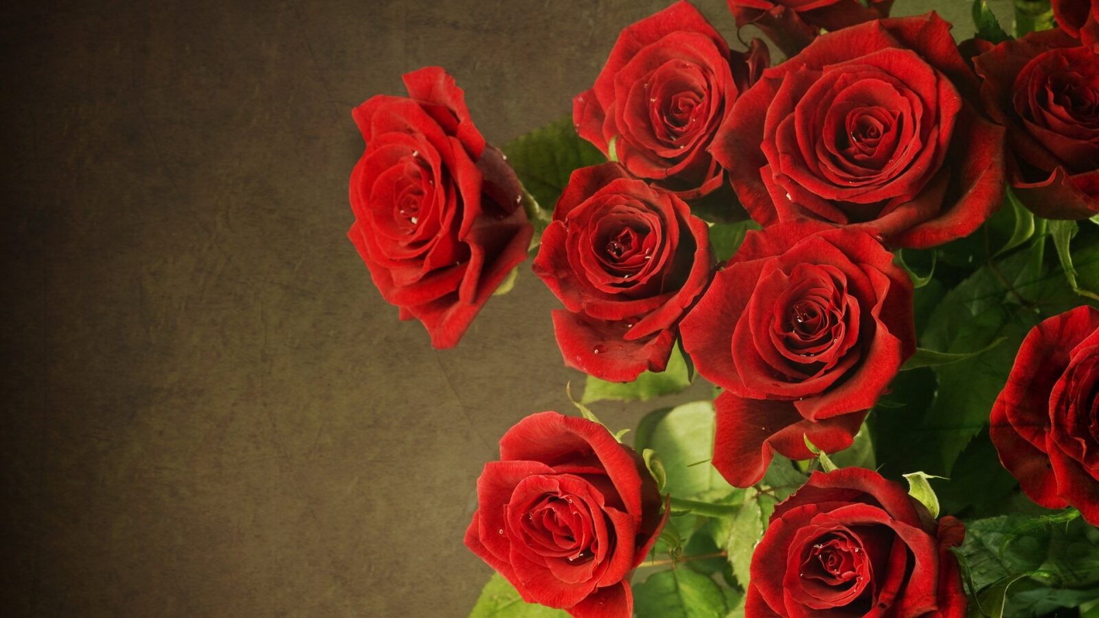 Freedom - Red Rose Bouquet Flower Delivery (Medium)