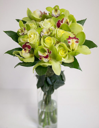Green orchids with roses - Round bouquet (Medium)