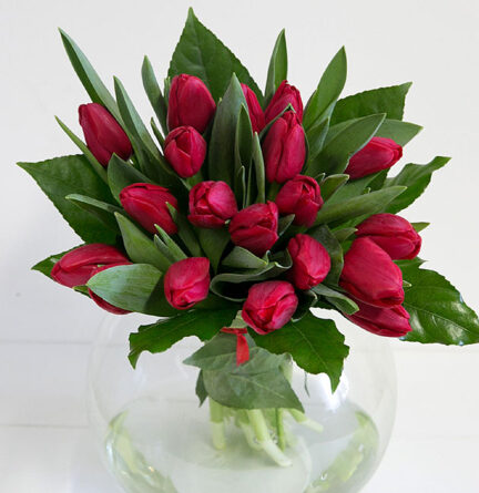 Bouquet of red tulips XXL
