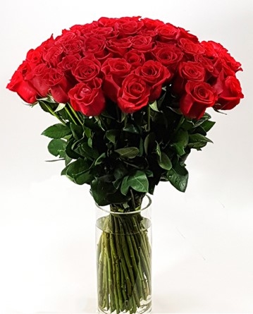 Only love roses - a giant bouquet of roses MEGA