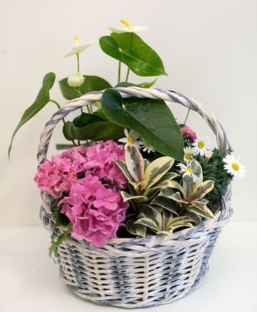 Potted flowers in a wicker basket AI