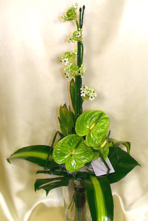 Elegance In Green
