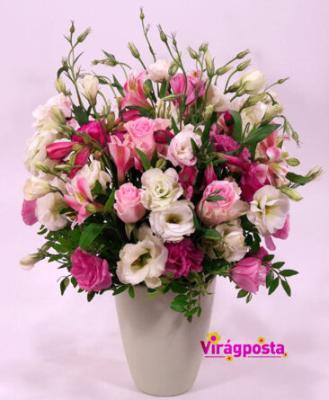 Lisianthus in a flowerpot - cloud of pink flowers (Medium)
