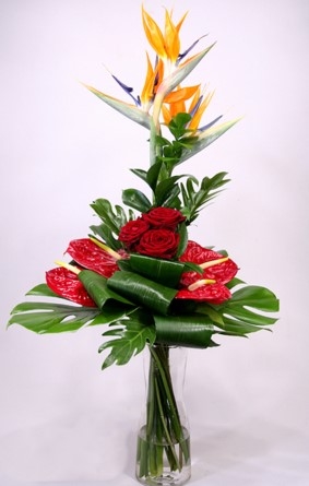 Love is a bird - exotic bouquet with red roses (M)