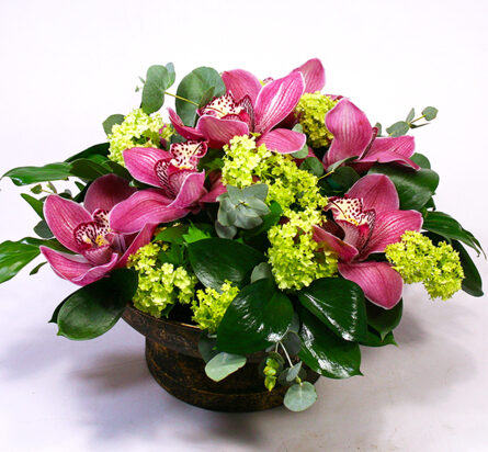 Orchid bowl in a spring mood M