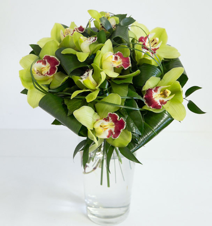 Orchids in green - round bouquet (Medium)