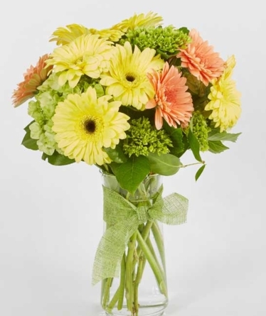 Shine on! - Cheerful mini gerberas in a round bouquet L