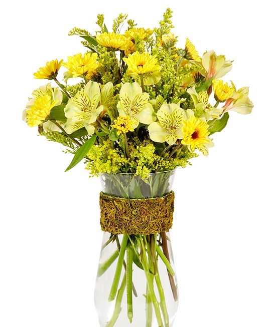 Flowery Meadow (M)