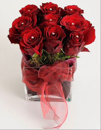 Red rose with sparkling crystals in a glass cube