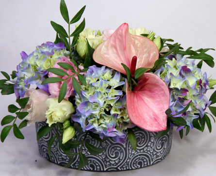 Flowers with hydrangeas and famings