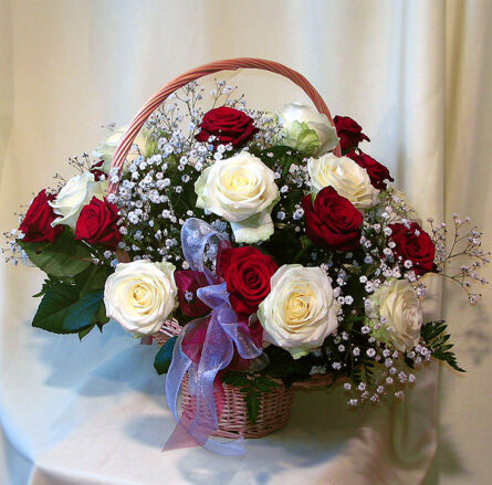 Red And White Roses (Medium)