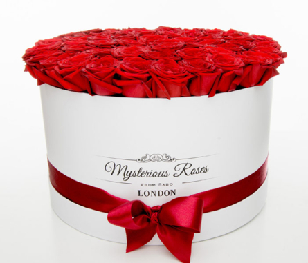 Red roses in a giant rose box - rose box XXL