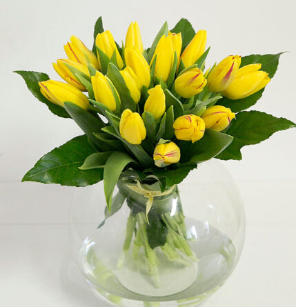 Yellow tulips - spring bouquet XXL