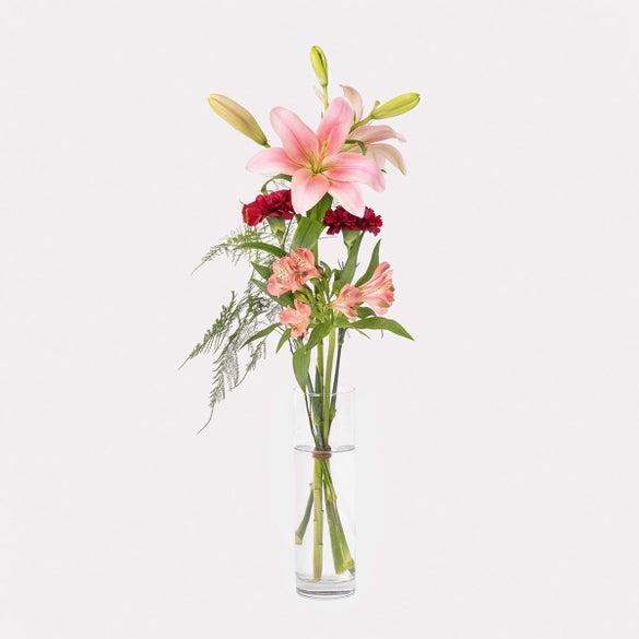 Lily dream (Small)