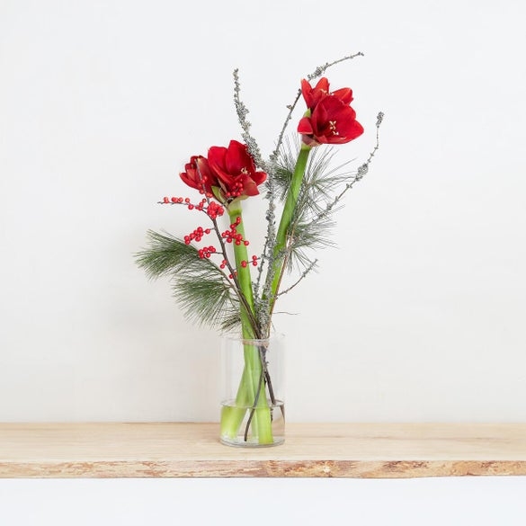 The elegant amaryllis bouquet in a vase