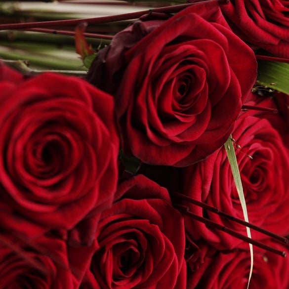 Red roses 70-80 cm each.
