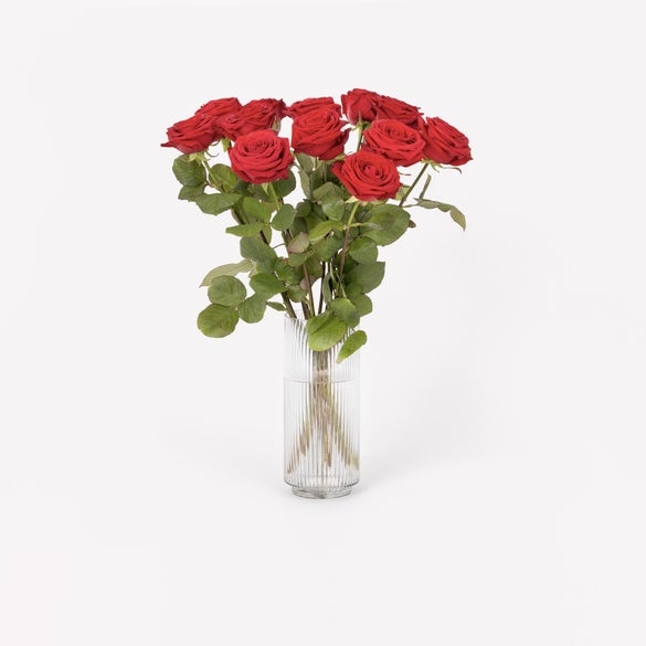 12 red roses
